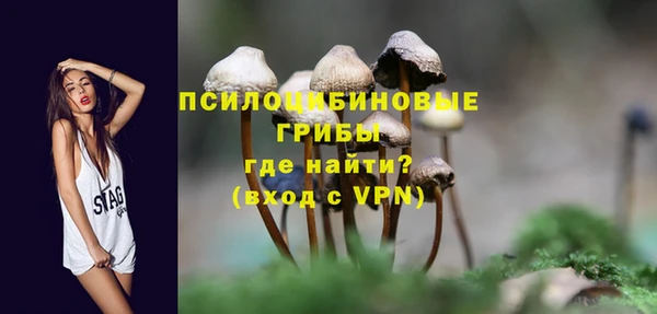 бутират Горно-Алтайск