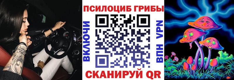 купить наркотик  МЕГА вход  Псилоцибиновые грибы прущие грибы  Сыктывкар 